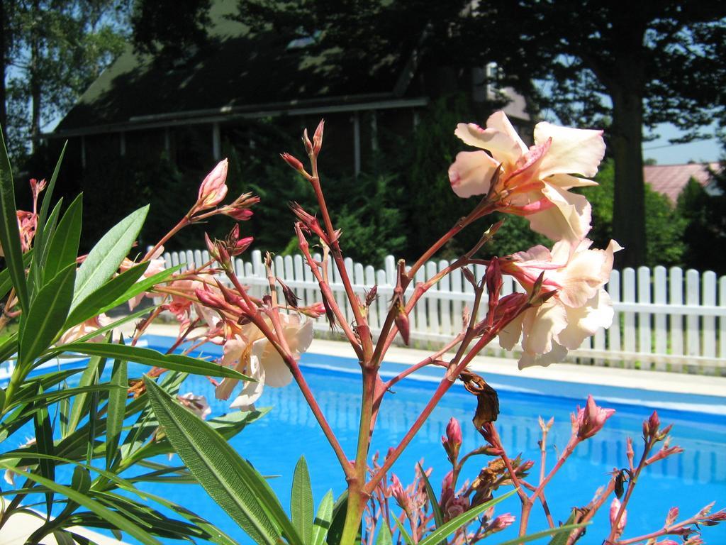 Guest House Westwood Kraljevec Kupinecki 部屋 写真
